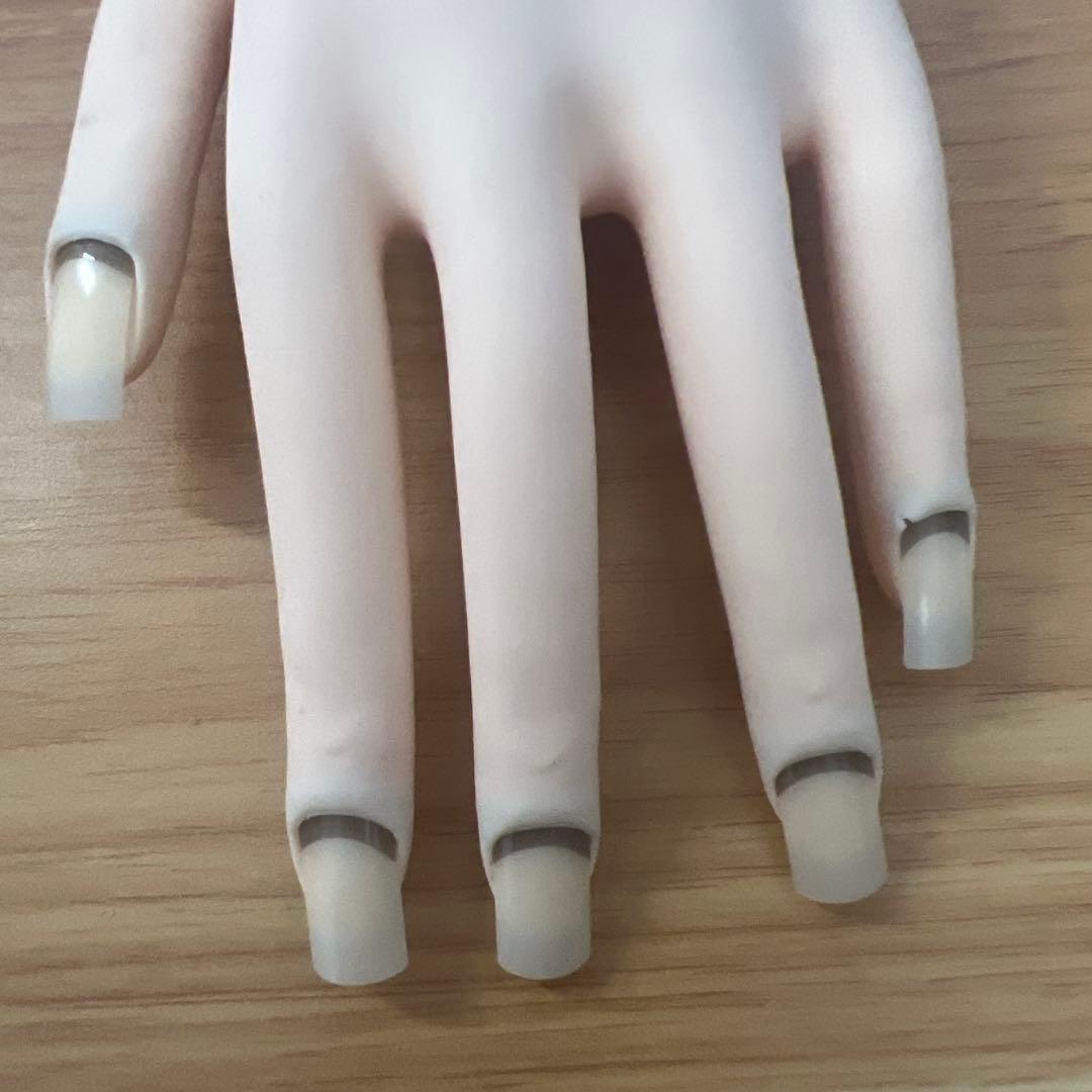 JNEC認定モデルハンド stモデルハンド ネイル