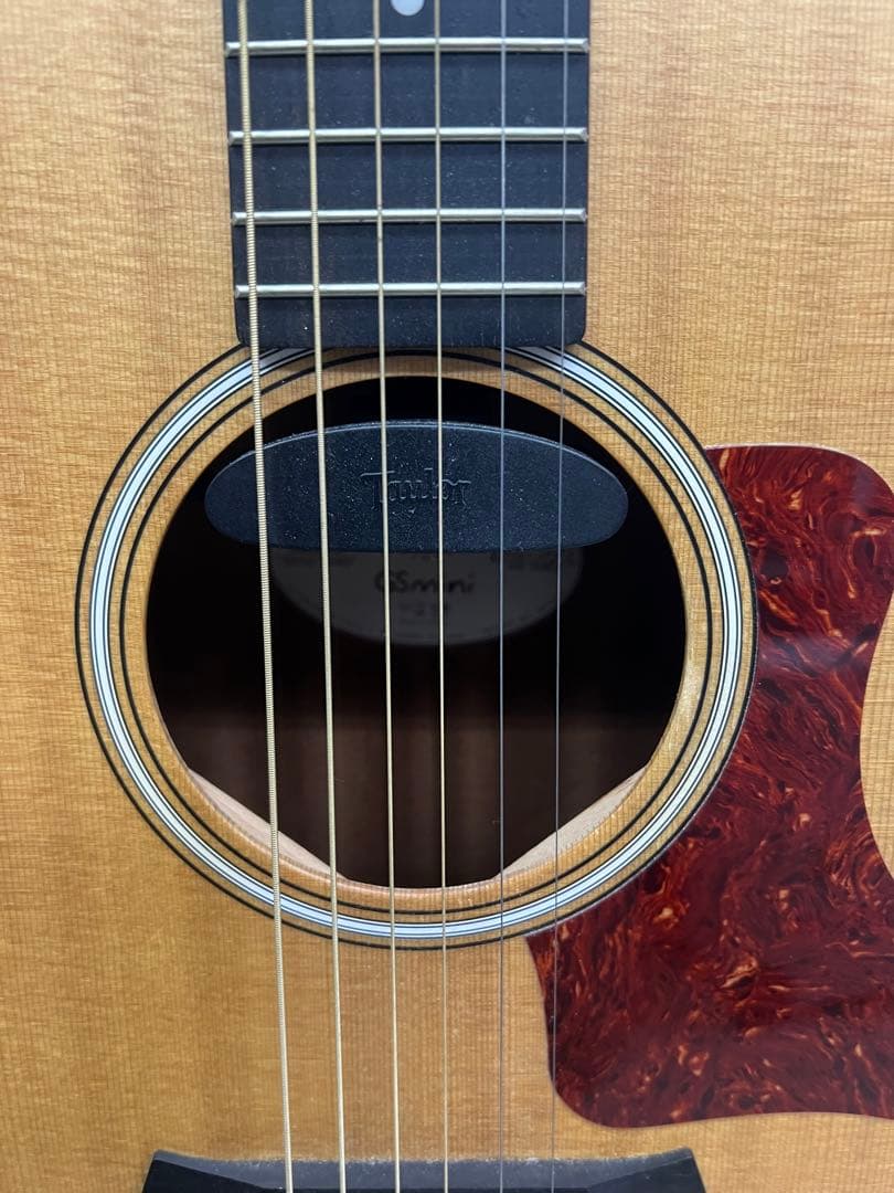 Taylor GS mini エレアコ