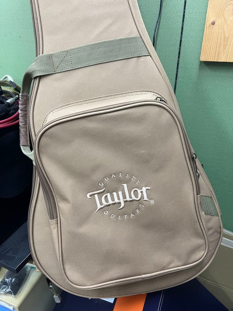 Taylor GS mini エレアコ