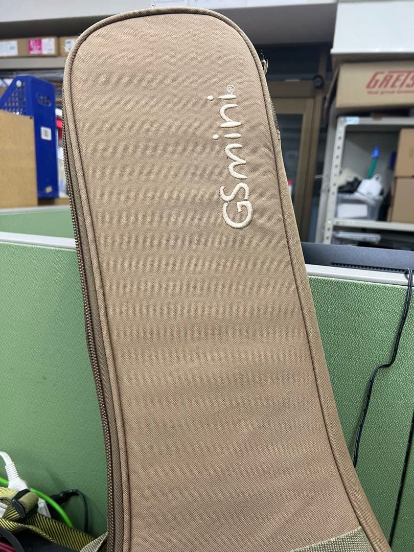 Taylor GS mini エレアコ