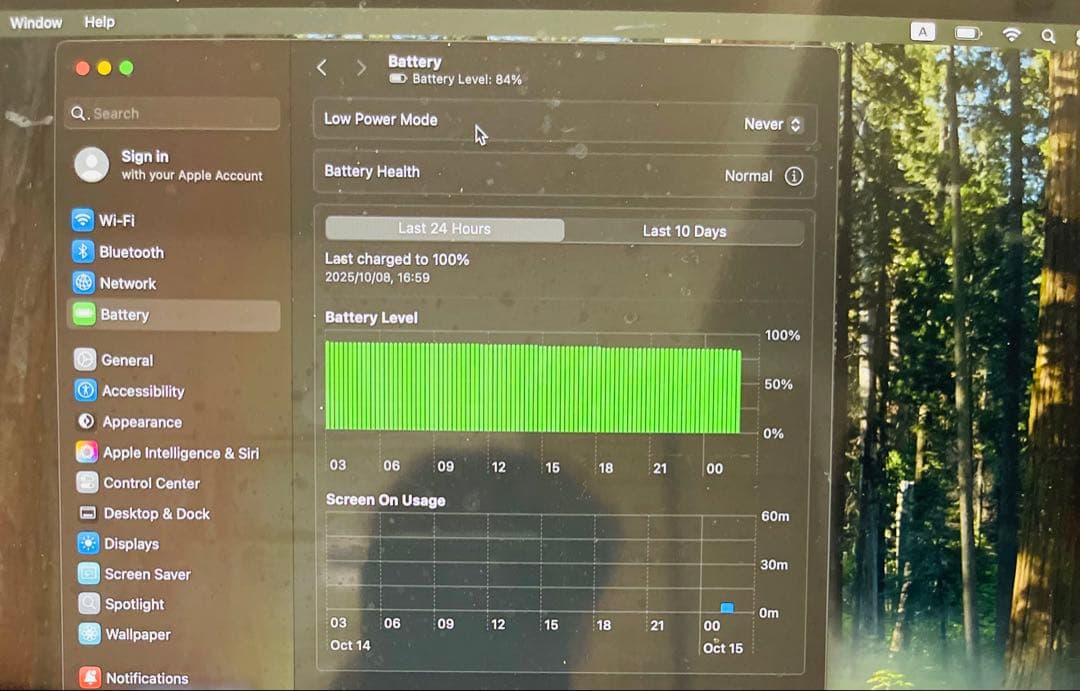 Apple MacBook Pro 13インチ 256GB おまけ付き