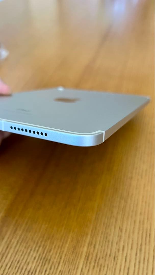 Apple iPad mini 第６世代　256GB Wi-Fi+セルラー