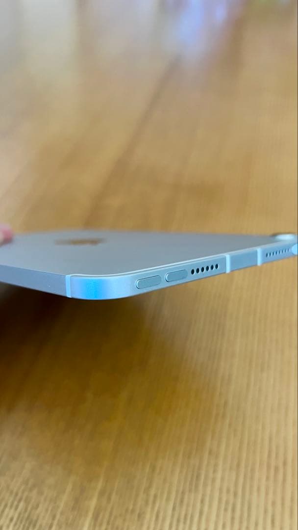 Apple iPad mini 第６世代　256GB Wi-Fi+セルラー