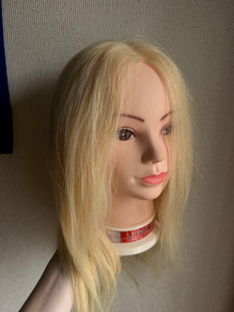 アップウィッグブロンドアレンジウィッグ　人毛100%　美容師　美容学生