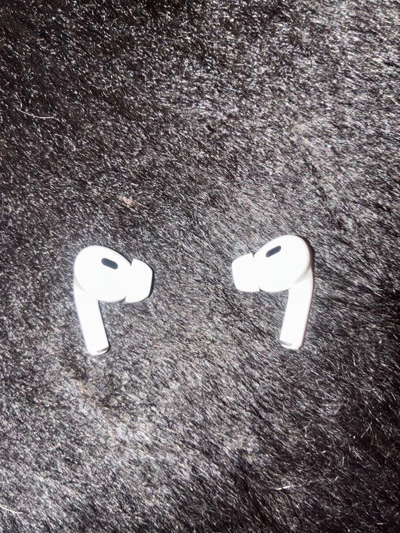 AirPods Pro ケース付き