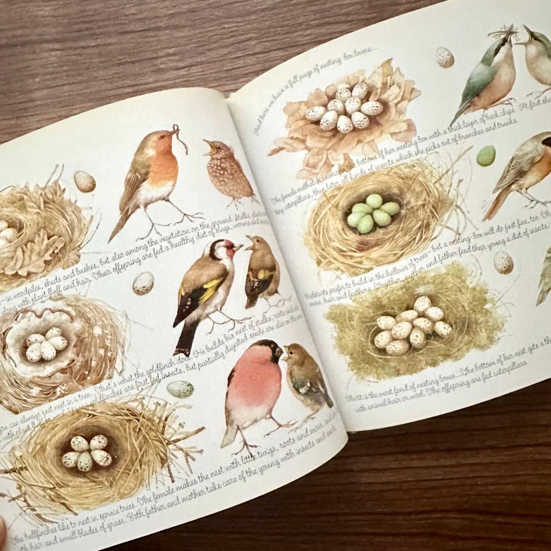 花ねこ様 リクエスト 5点 まとめ商品