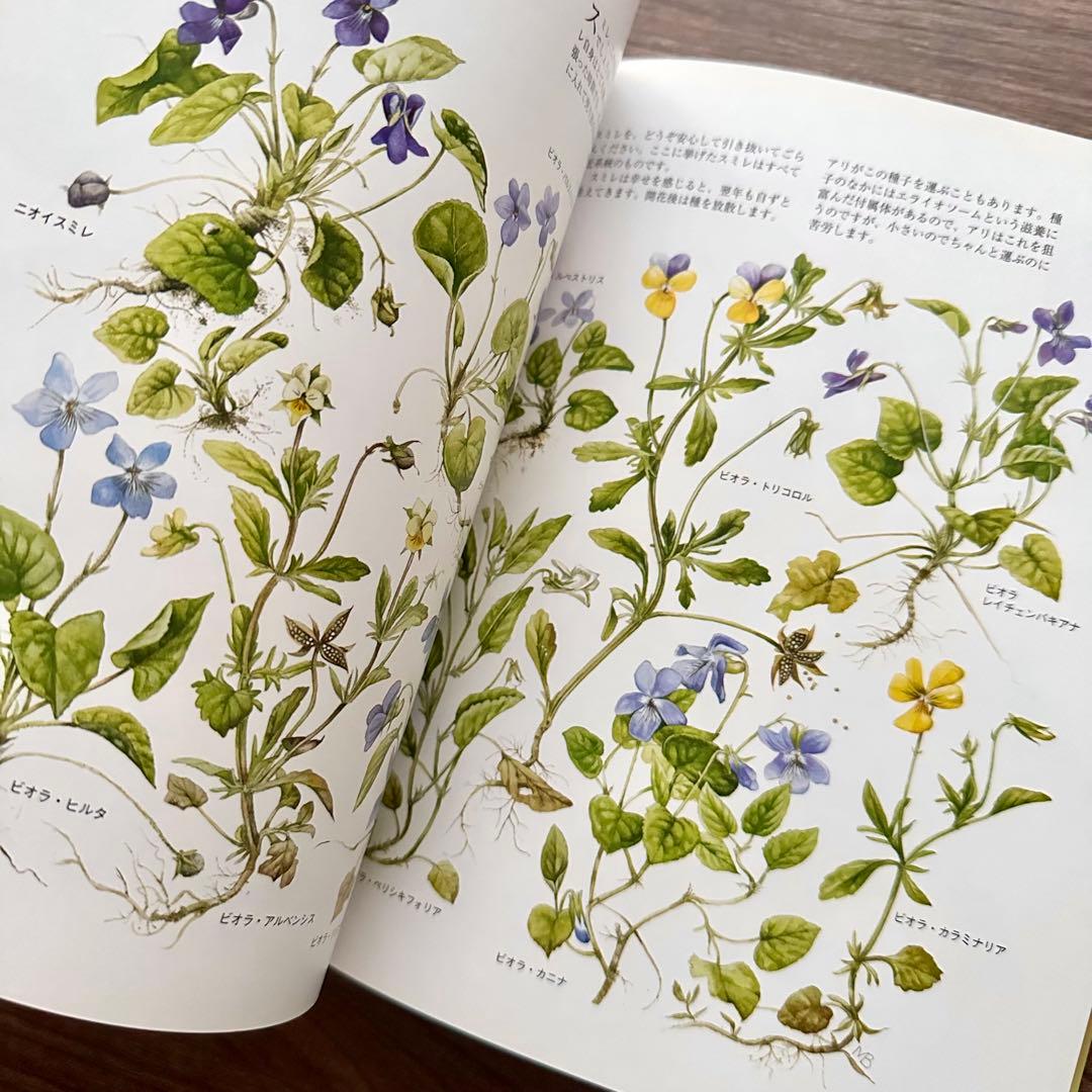 花ねこ様 リクエスト 5点 まとめ商品