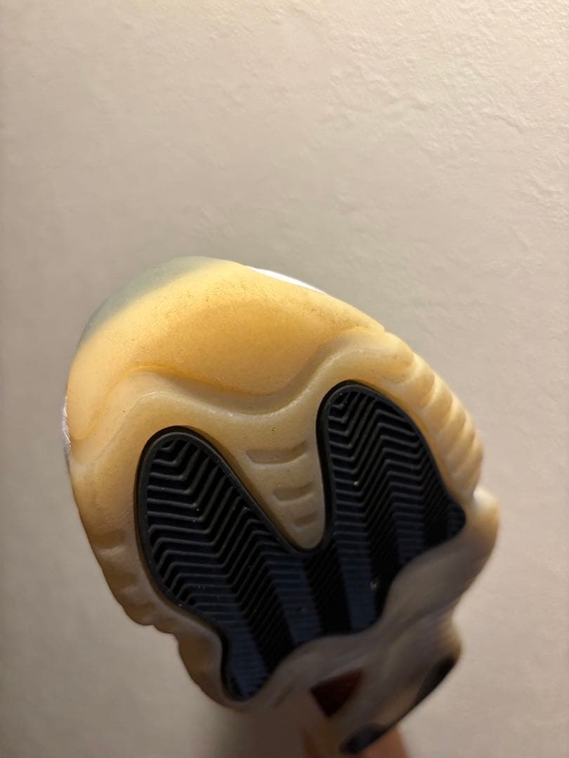 専用　完売品　エアジョーダン 11 レトロ LOW シューズ 31