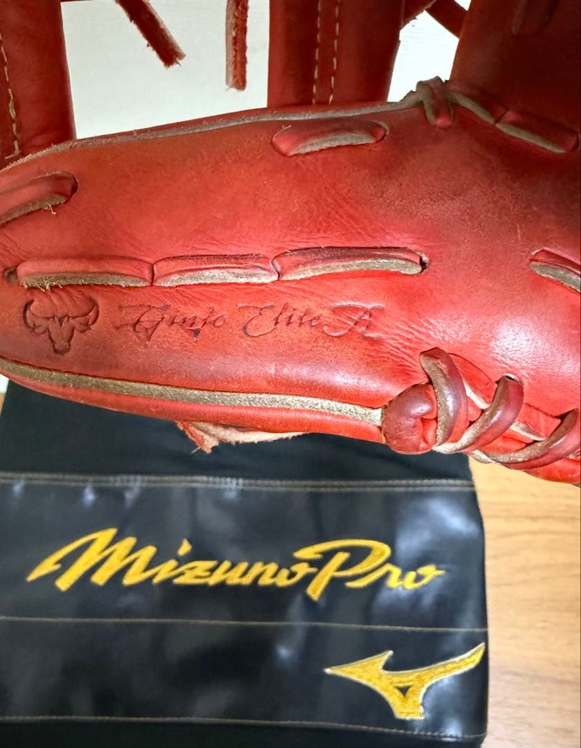 ミズノプロ グローブ パプリカ