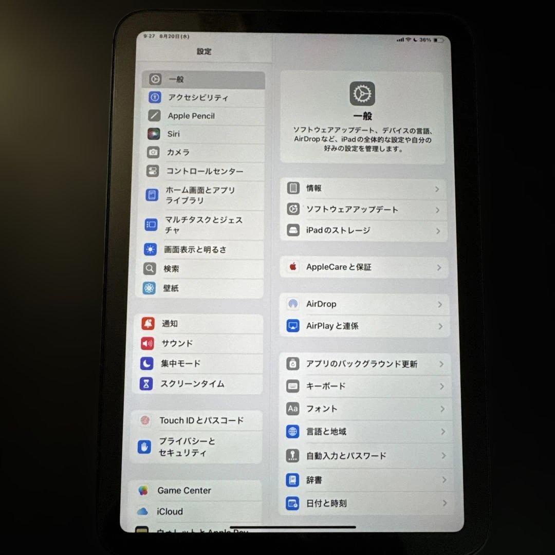 iPad mini 6 Cellularモデル 256GB pencil付き