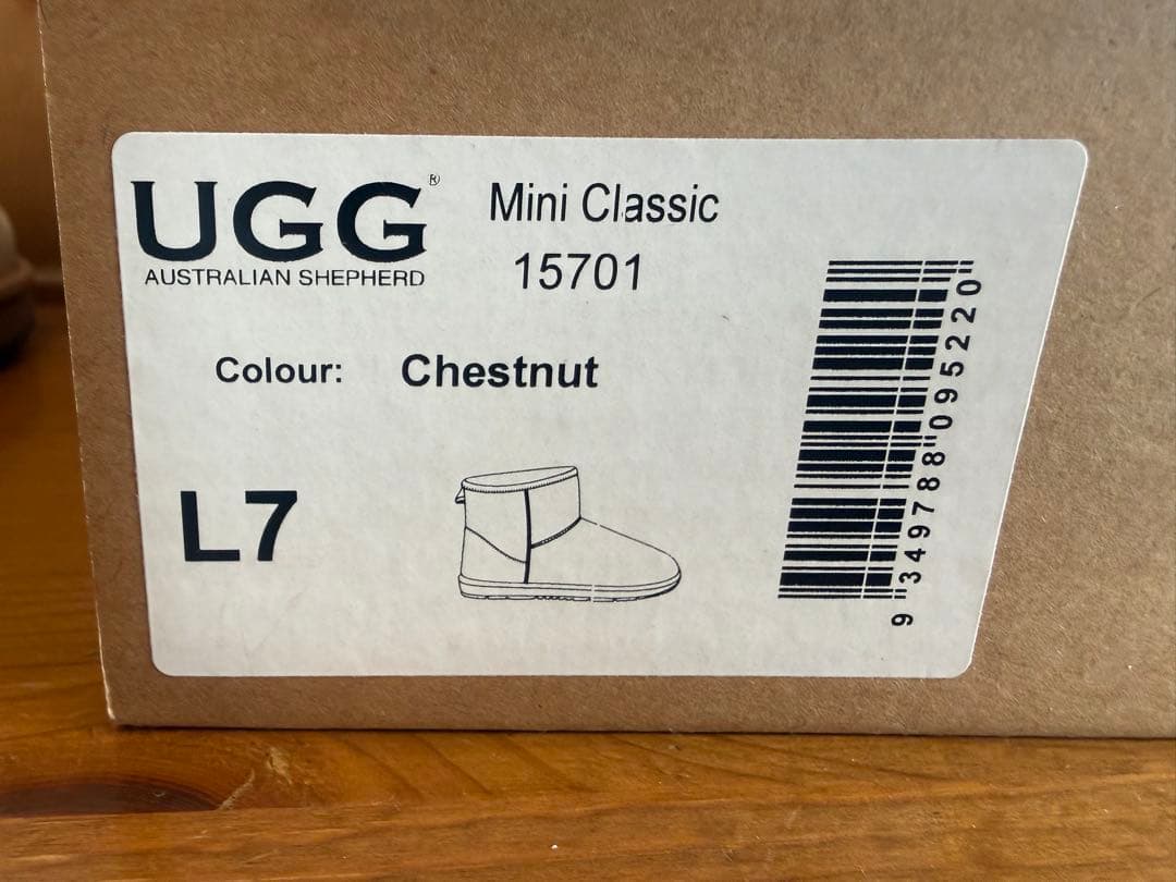 UGG EXPRESS ムートンブーツ チェスナット 7 24cm