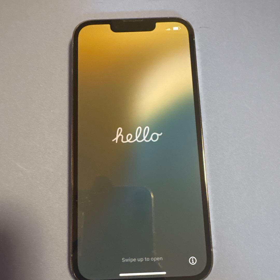 iPhone13Pro 値下げ不可