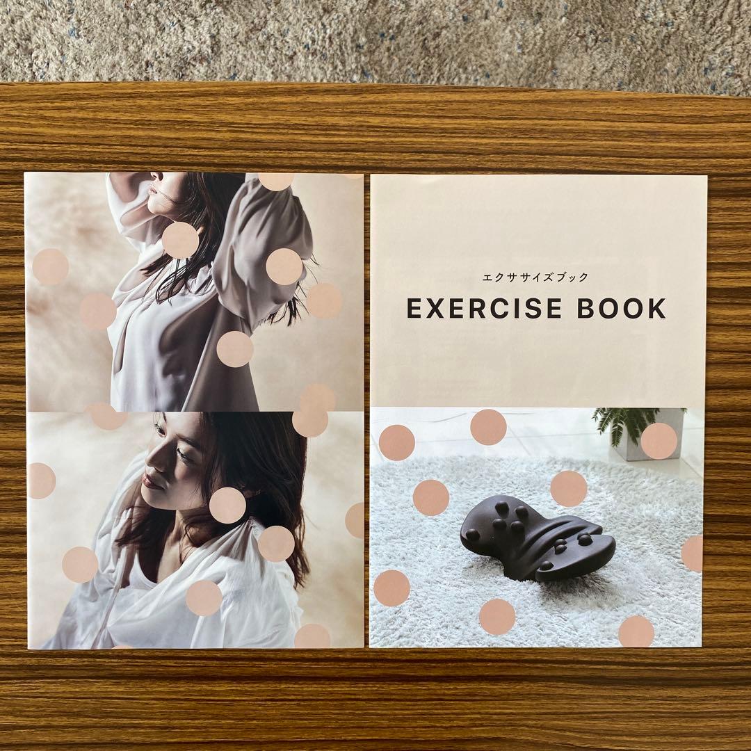 【美品】RAKUNA 整体ヒップパッド ラクナ エクササイズブック付き
