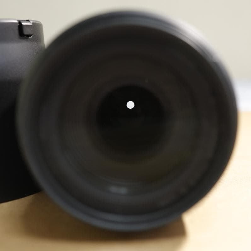 Canon RF 100-400mm F5.6-8 IS USM　望遠レンズ