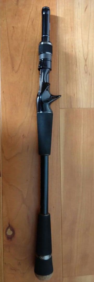 トランスセンデンス　レイトブルーミングス