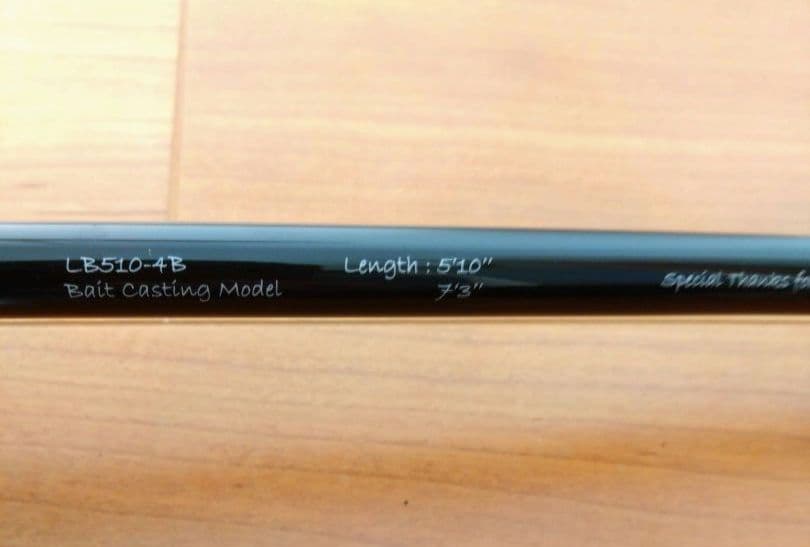 トランスセンデンス　レイトブルーミングス