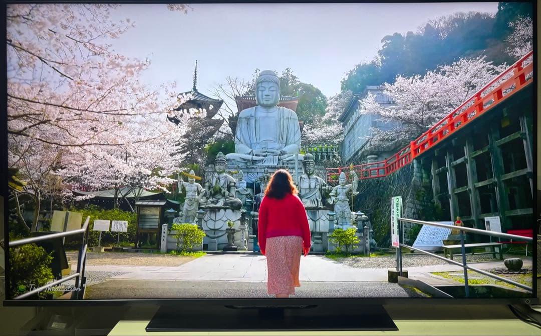 【特別価格】REGZA 50Z670K 液晶テレビ 2022年製