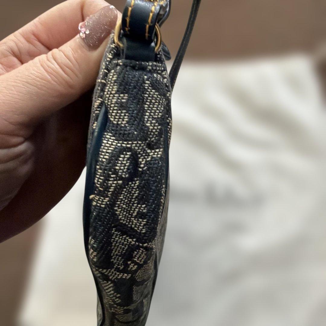 dior ディオール サドル トロッター