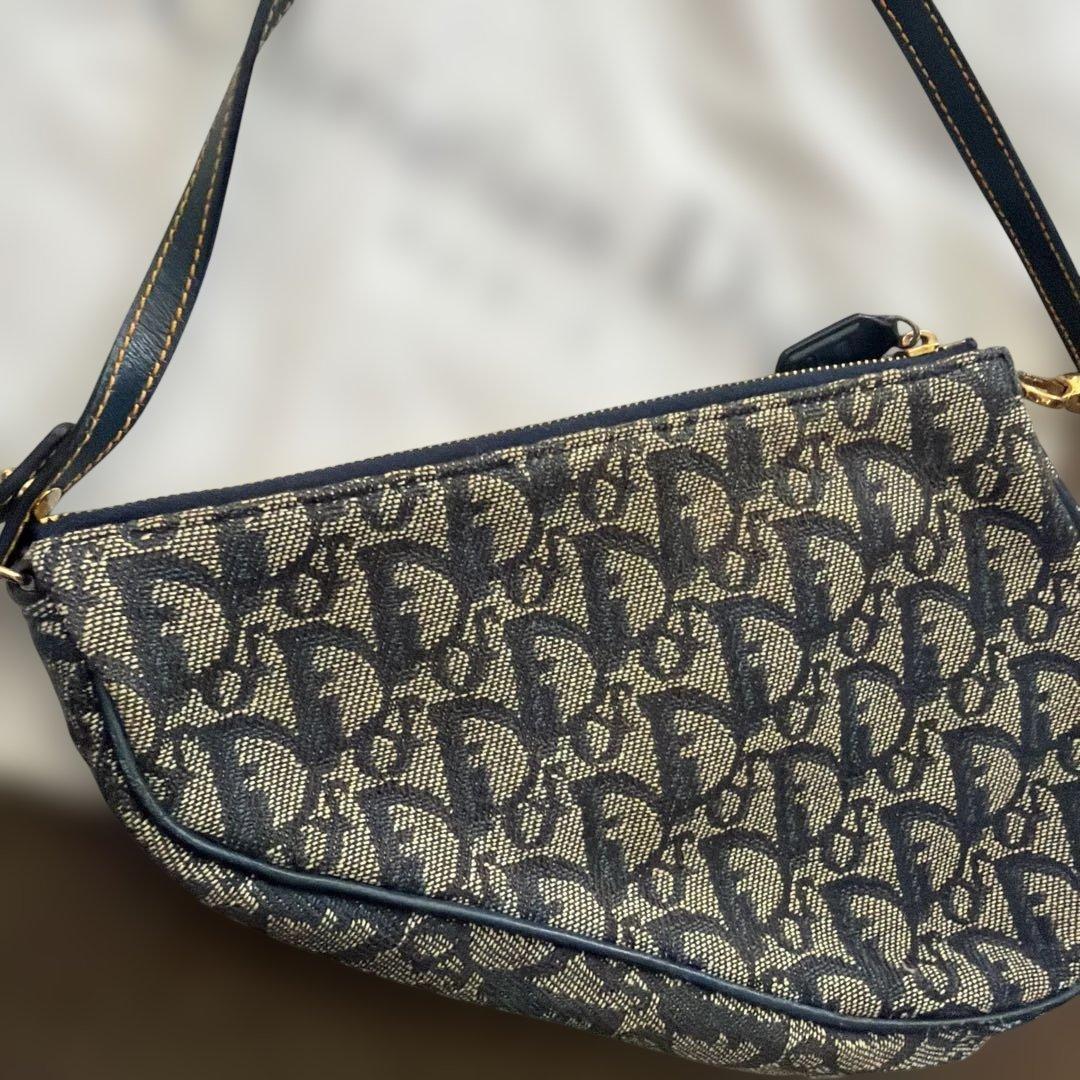 dior ディオール サドル トロッター