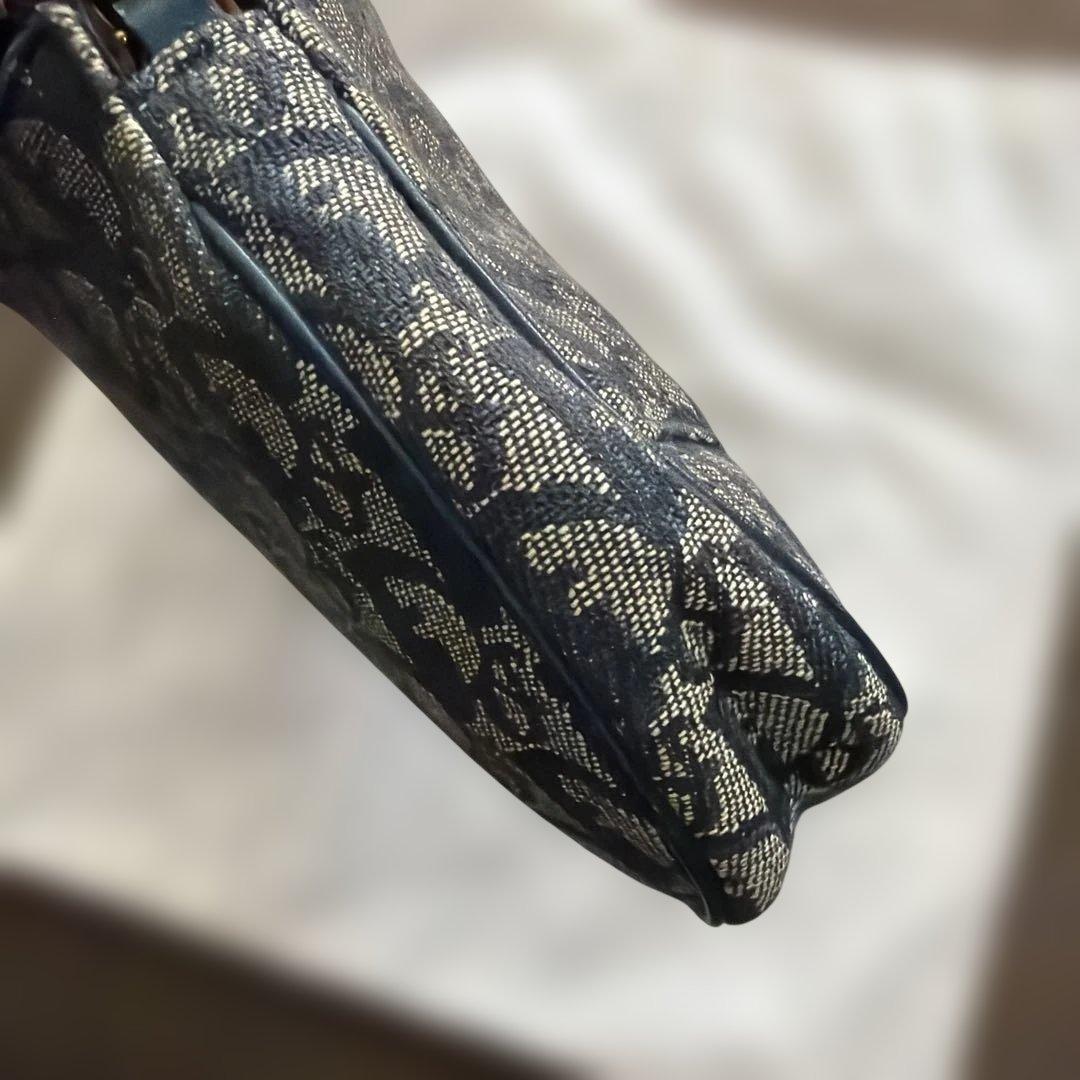 dior ディオール サドル トロッター