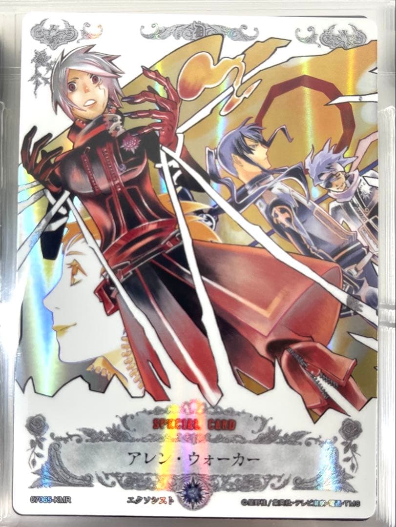 D.Gray-man ディーグレイマン TCG セミコンプリート ファイリング済