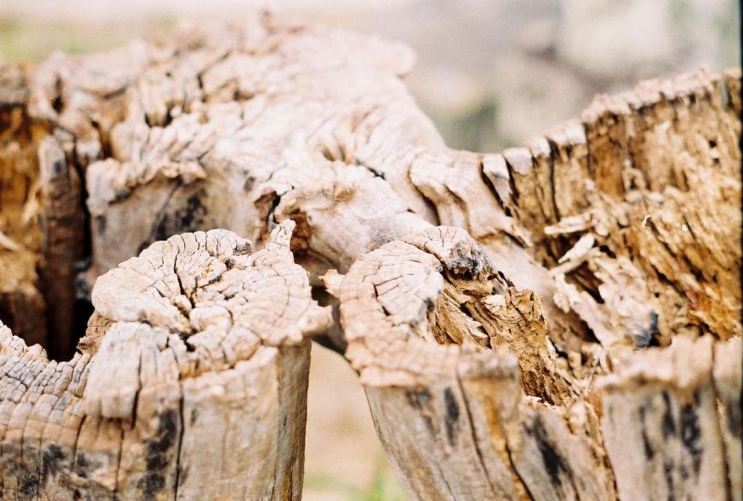 ニコン　F3 レンズ　2本セット　美品