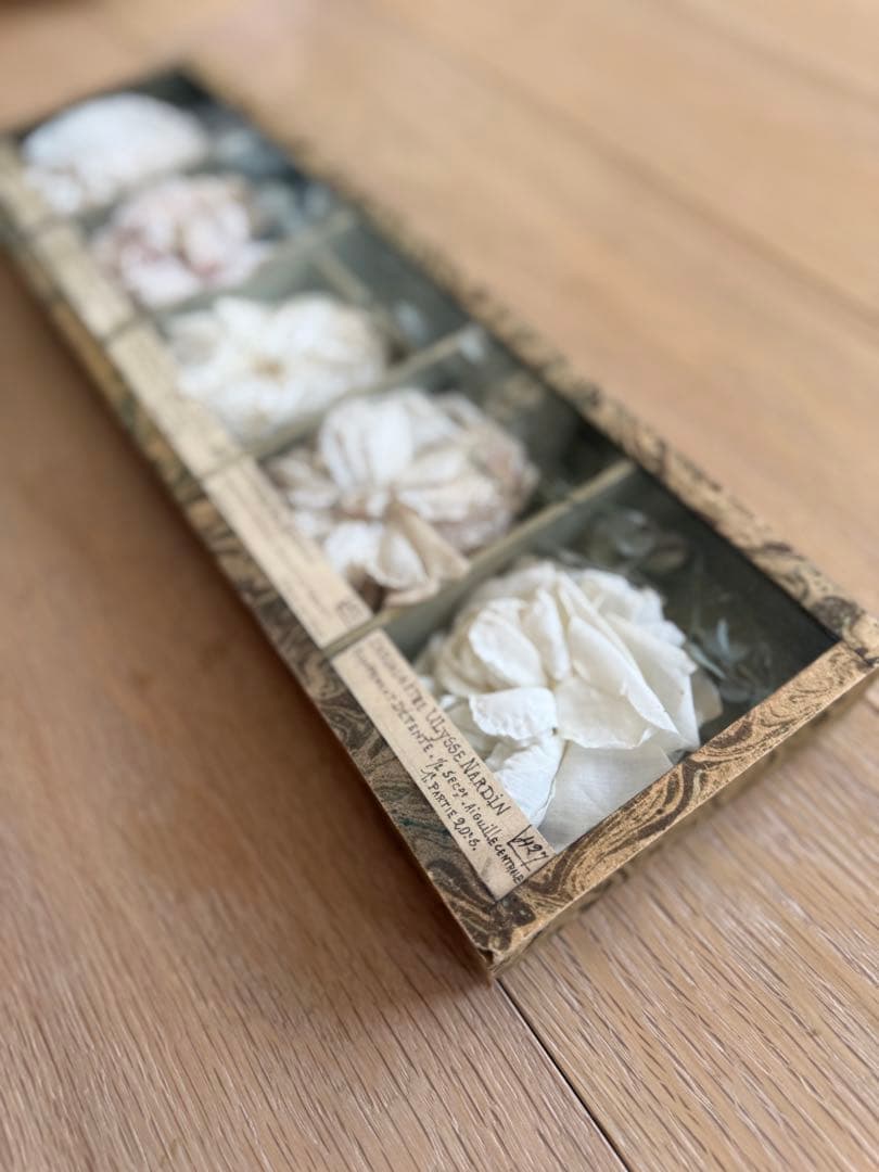 期間限定出品激レアフランスアンティーク布花サンプルガラスケース入り