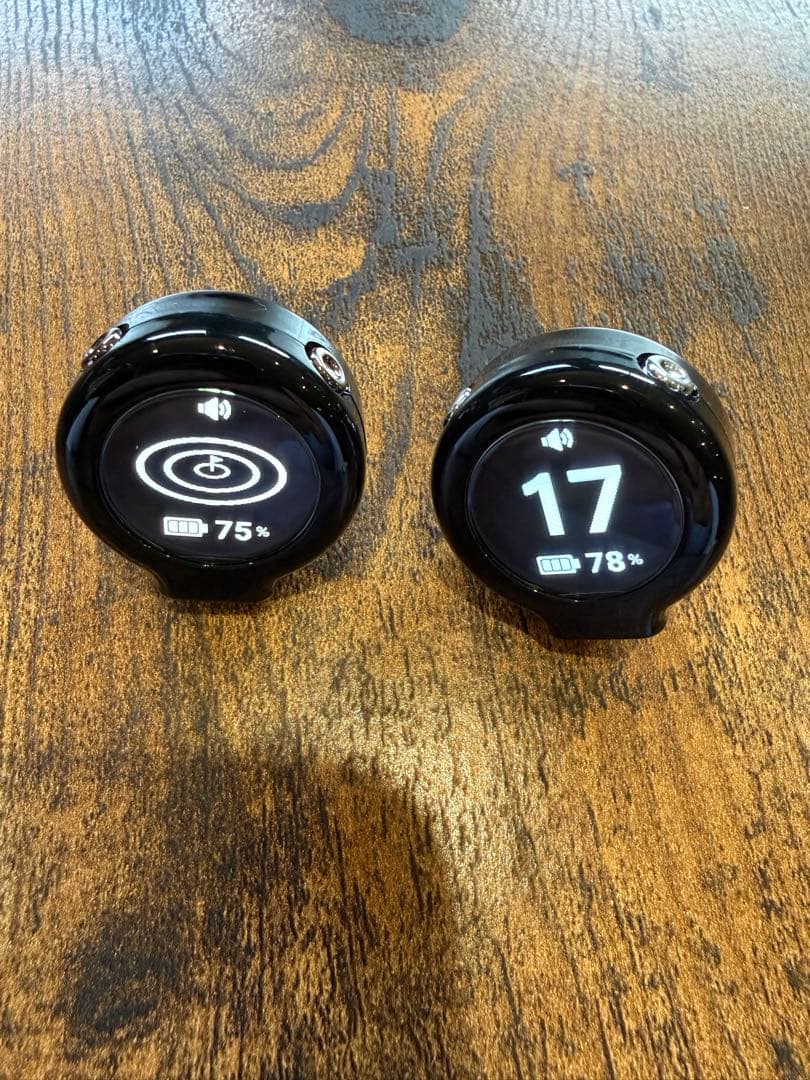 パッティングビュー/エイミングビュー　2個セット(新品)