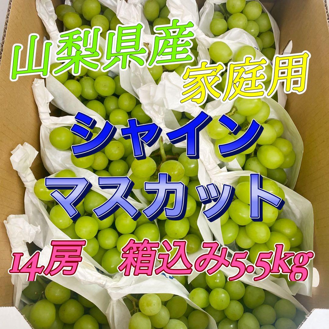 山梨県産　訳あり　家庭用　シャインマスカット　14房　箱込み5.5kg ⑬
