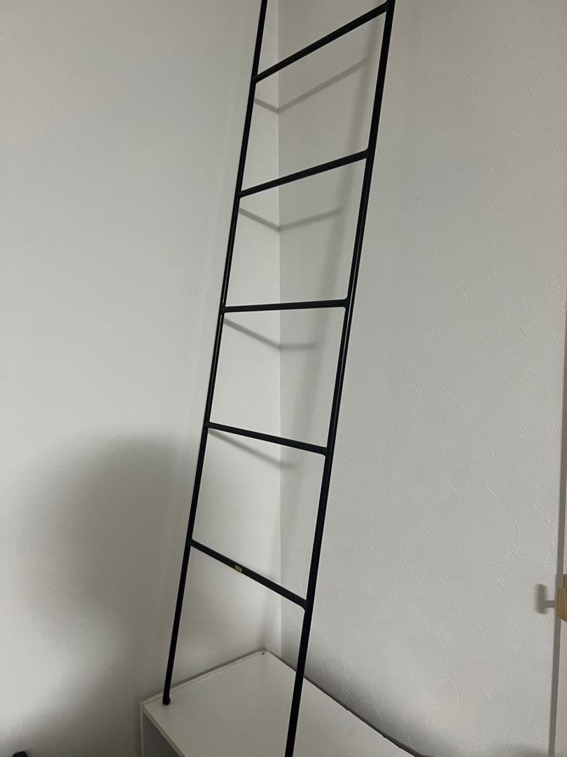 (最終値下げ)アイアンラダー ブラック