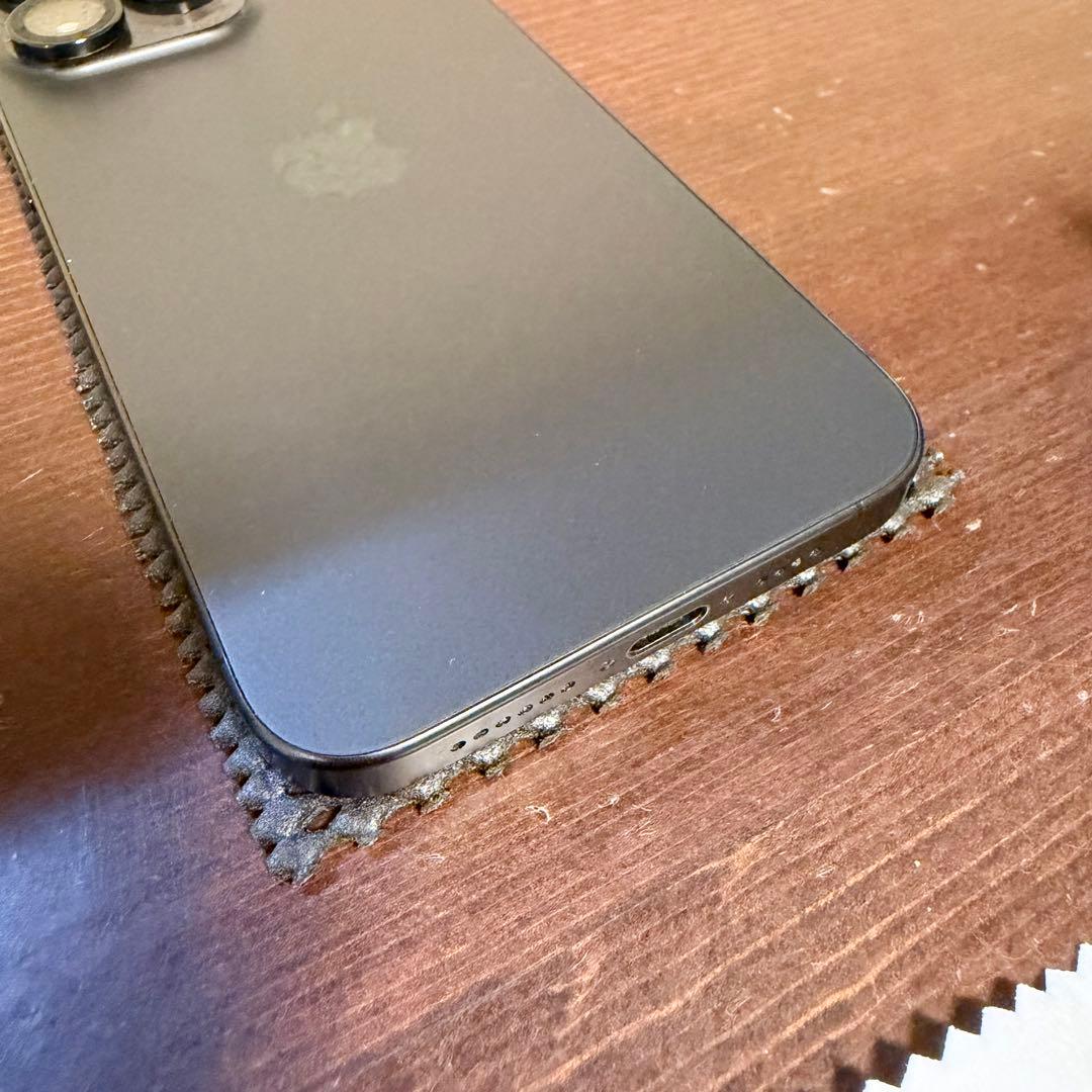 iPhone 15 Pro Max 256GB ブラックチタニウム 特典付き