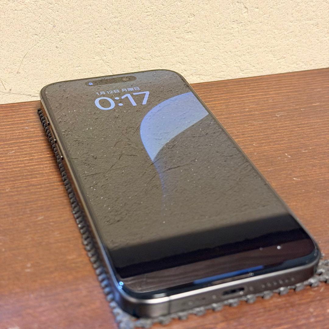 iPhone 15 Pro Max 256GB ブラックチタニウム 特典付き