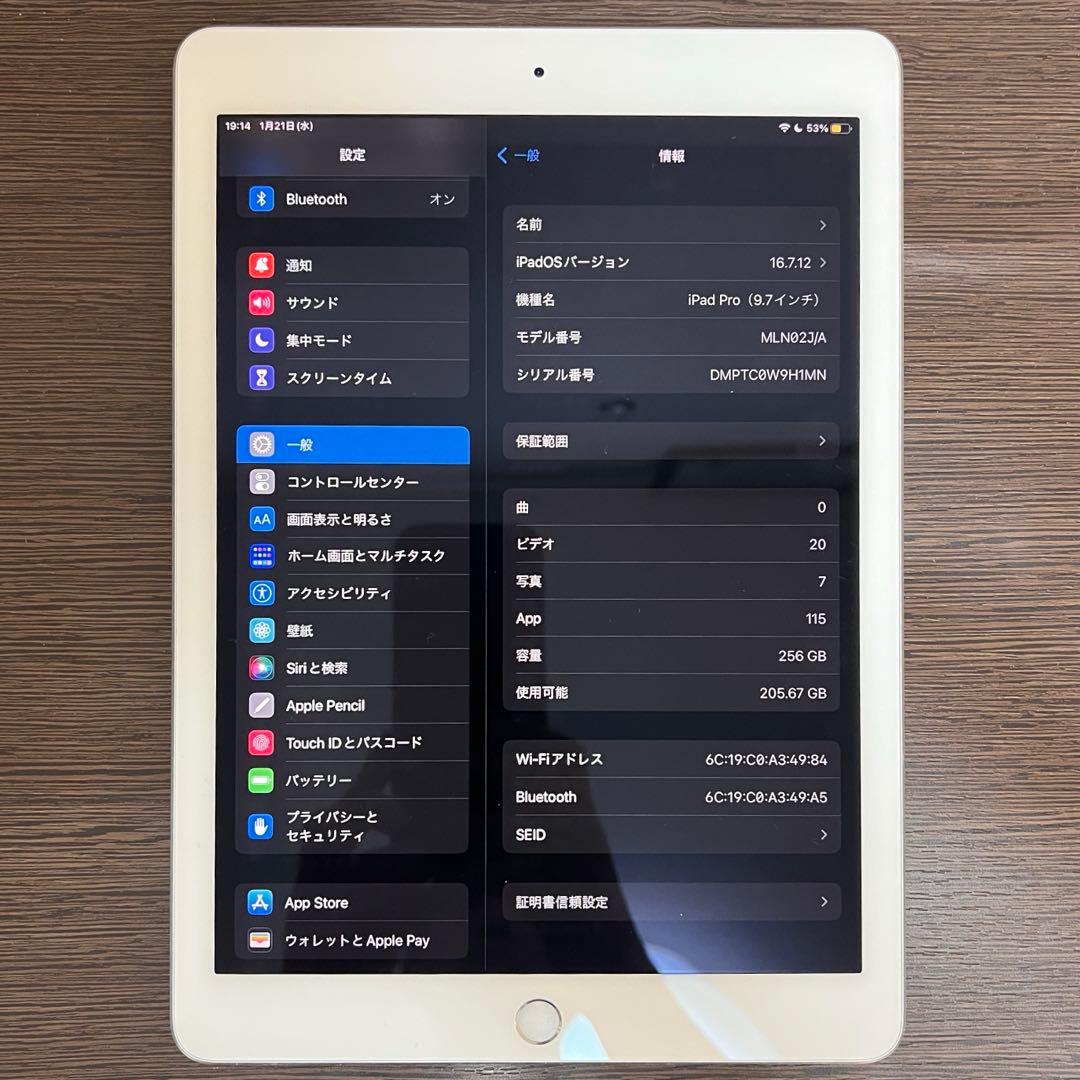 iPad Pro 9.7インチ Wi-Fi 256GB シルバー 動作確認済み