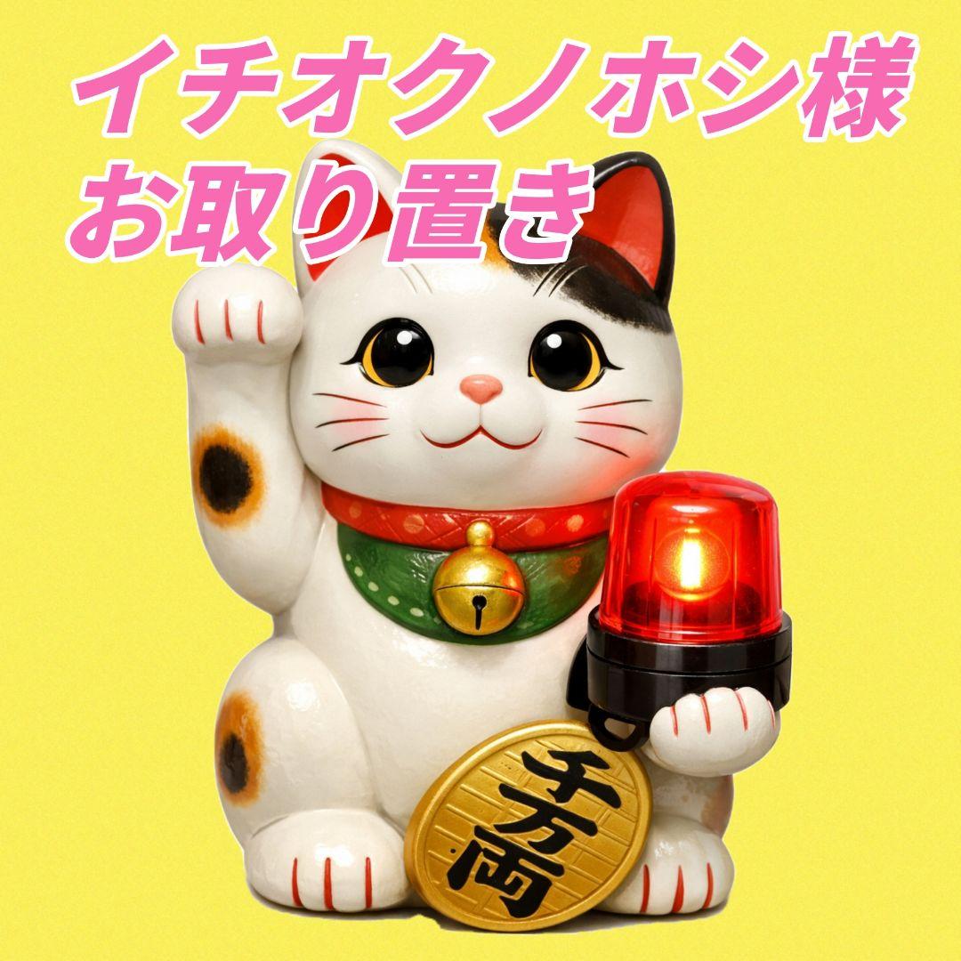 【イチオクノホシ様お取り置き】①②