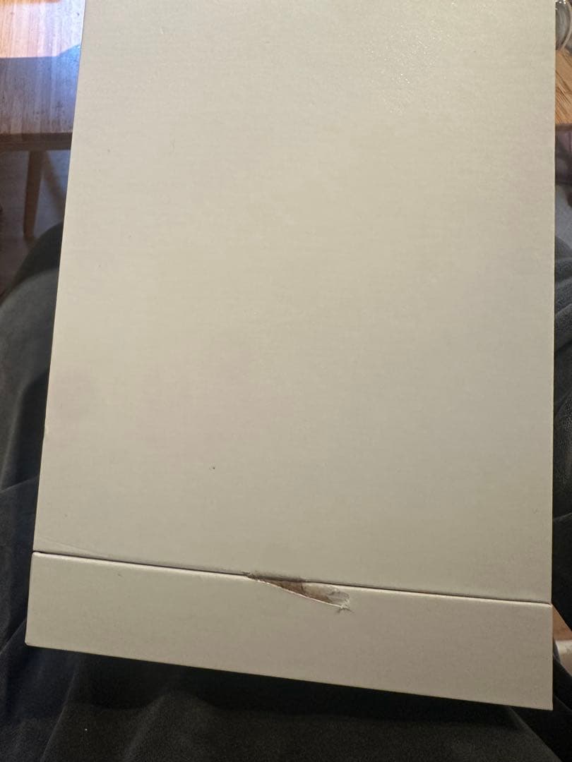 新品、未使用　SALONIA PURE BRIGHT STEAMER グレー