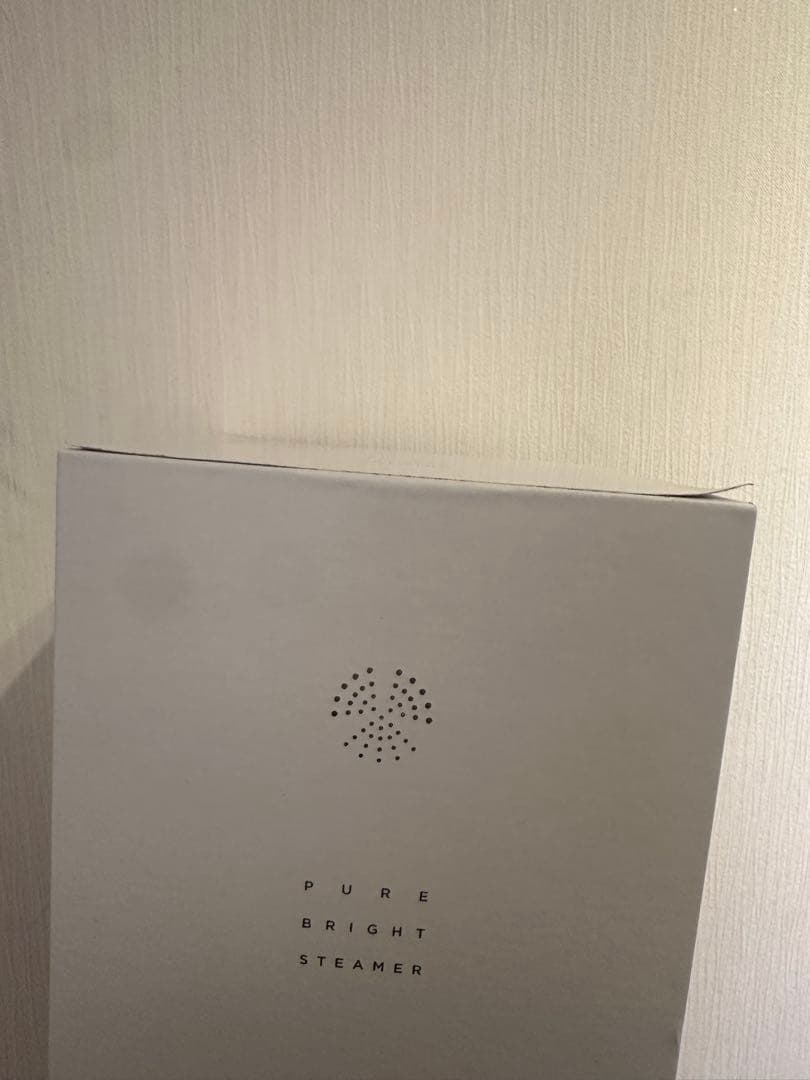 新品、未使用　SALONIA PURE BRIGHT STEAMER グレー