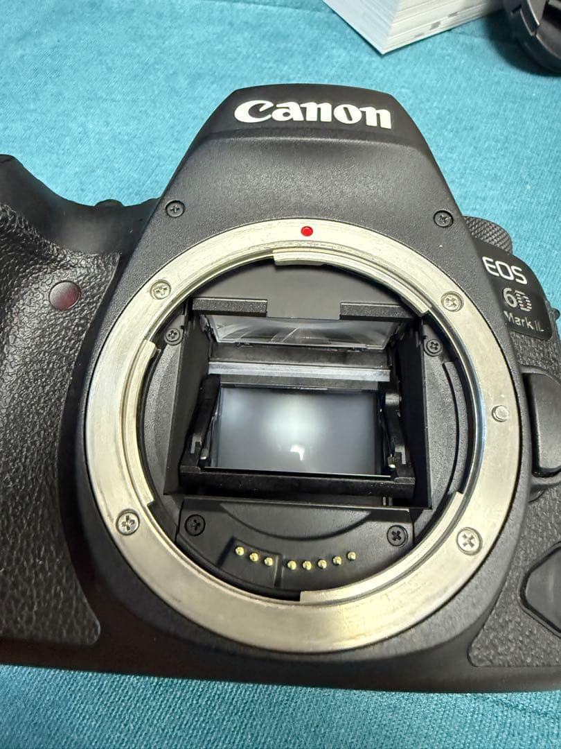 Canon EOS 6D Mark II、EF 50mm f1.8 stm