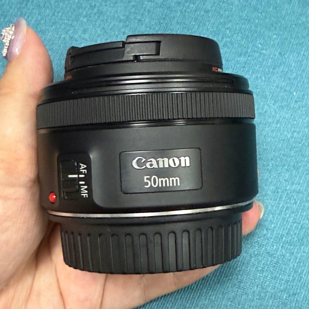 Canon EOS 6D Mark II、EF 50mm f1.8 stm