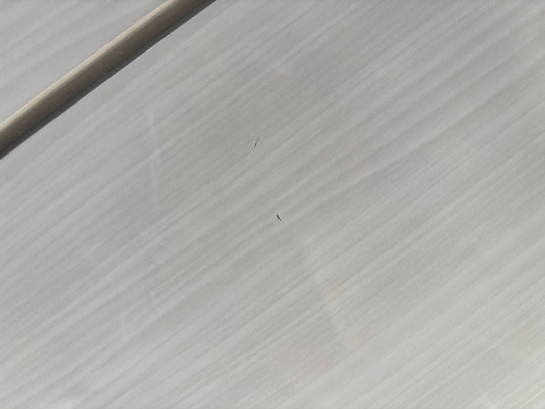 キッチン 食器棚 キッチンボード ニトリ 10日で処分致します