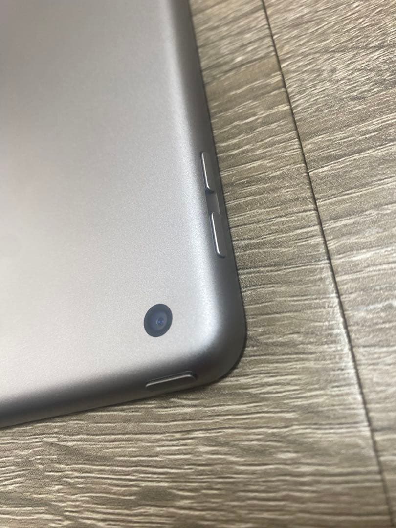 ipad 第六世代　シルバー　Apple Pencil第一世代付き