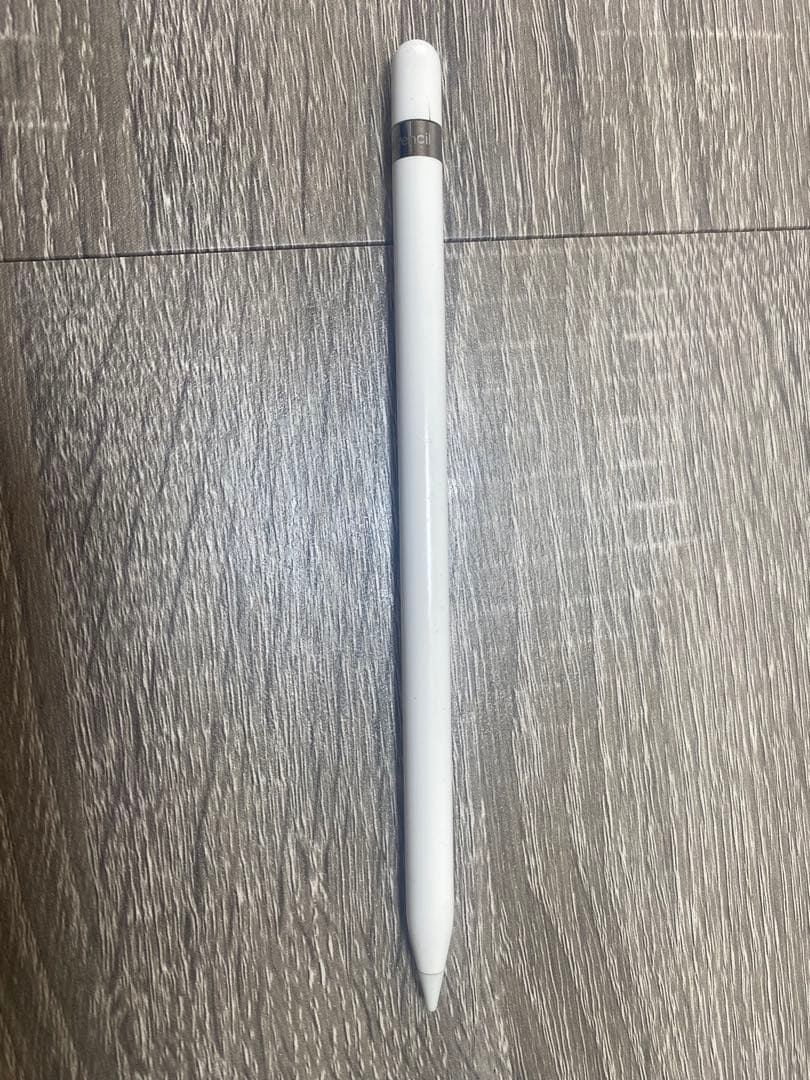 ipad 第六世代　シルバー　Apple Pencil第一世代付き