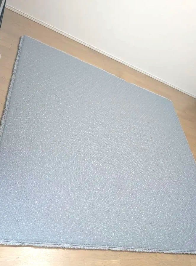 Francfranc　カステ 低反発 ラグ L　2000×2000 シルバー