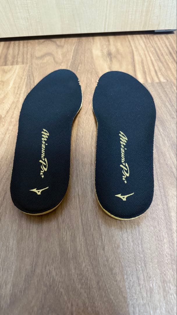 MizunoPro 青 スパイク 野球 ミズノプロ