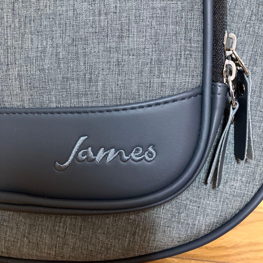 JAMES　エレアコ　アコースティックエフェクトシステム　取説付き　おまけ付き