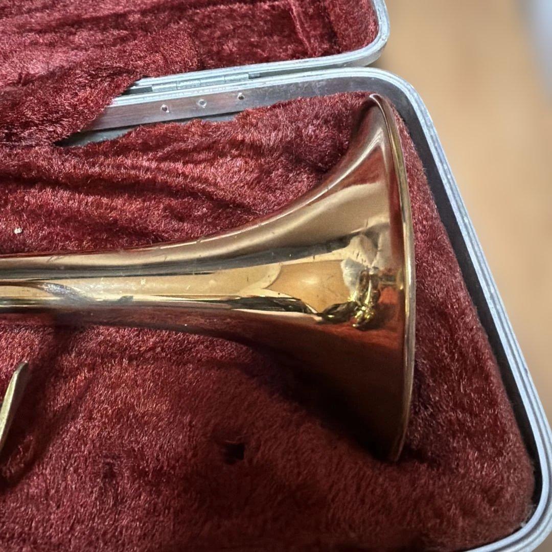 トランペットニッカン