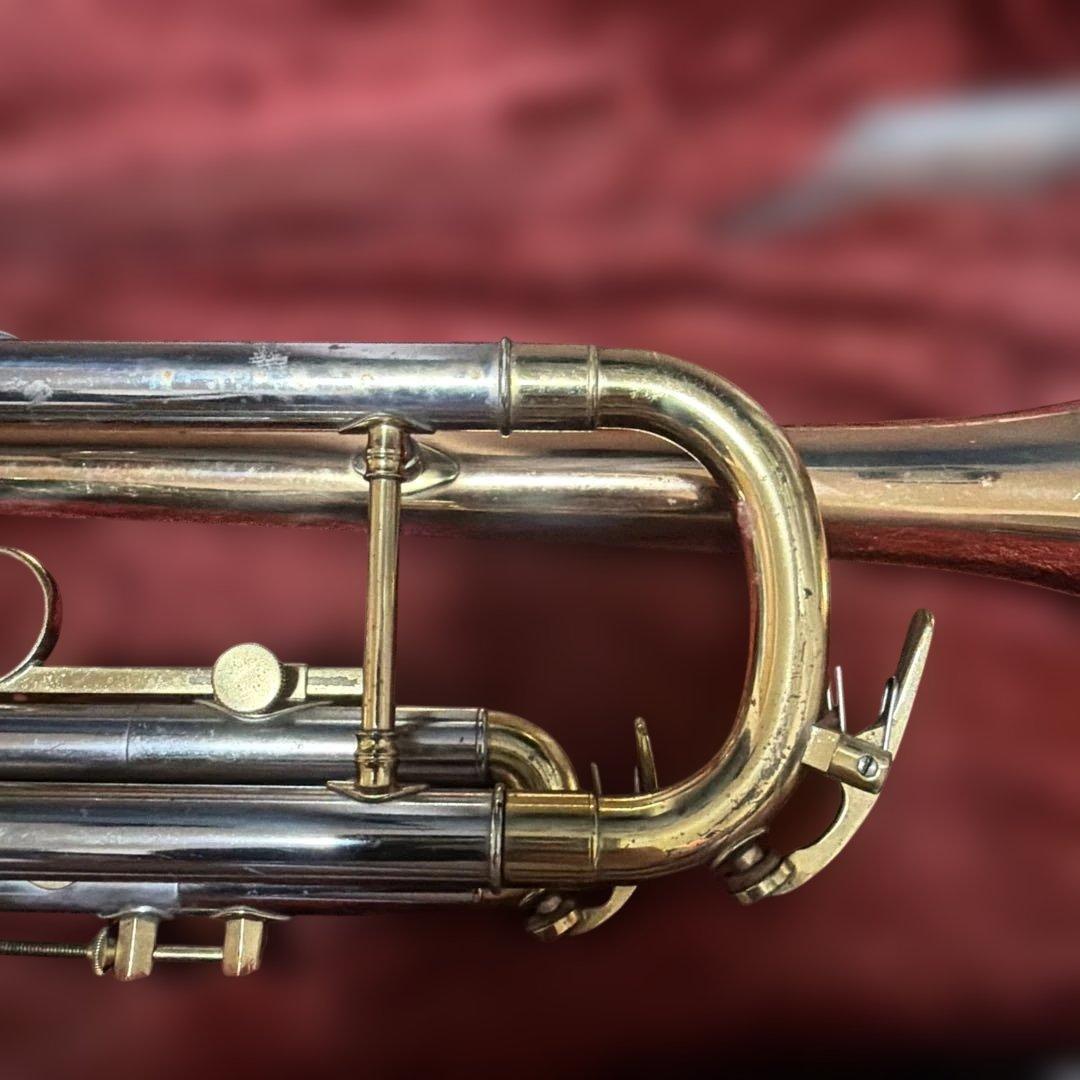 トランペットニッカン