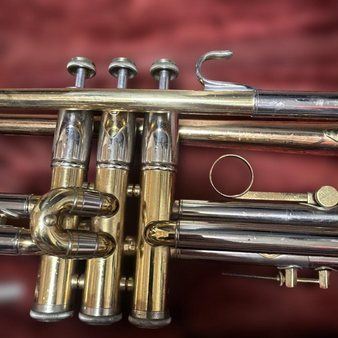 トランペットニッカン