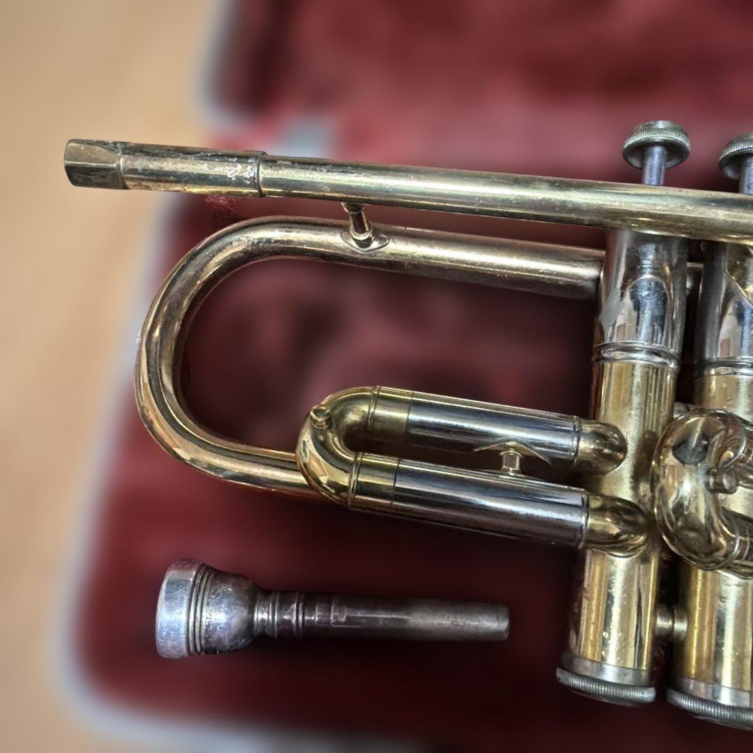 トランペットニッカン