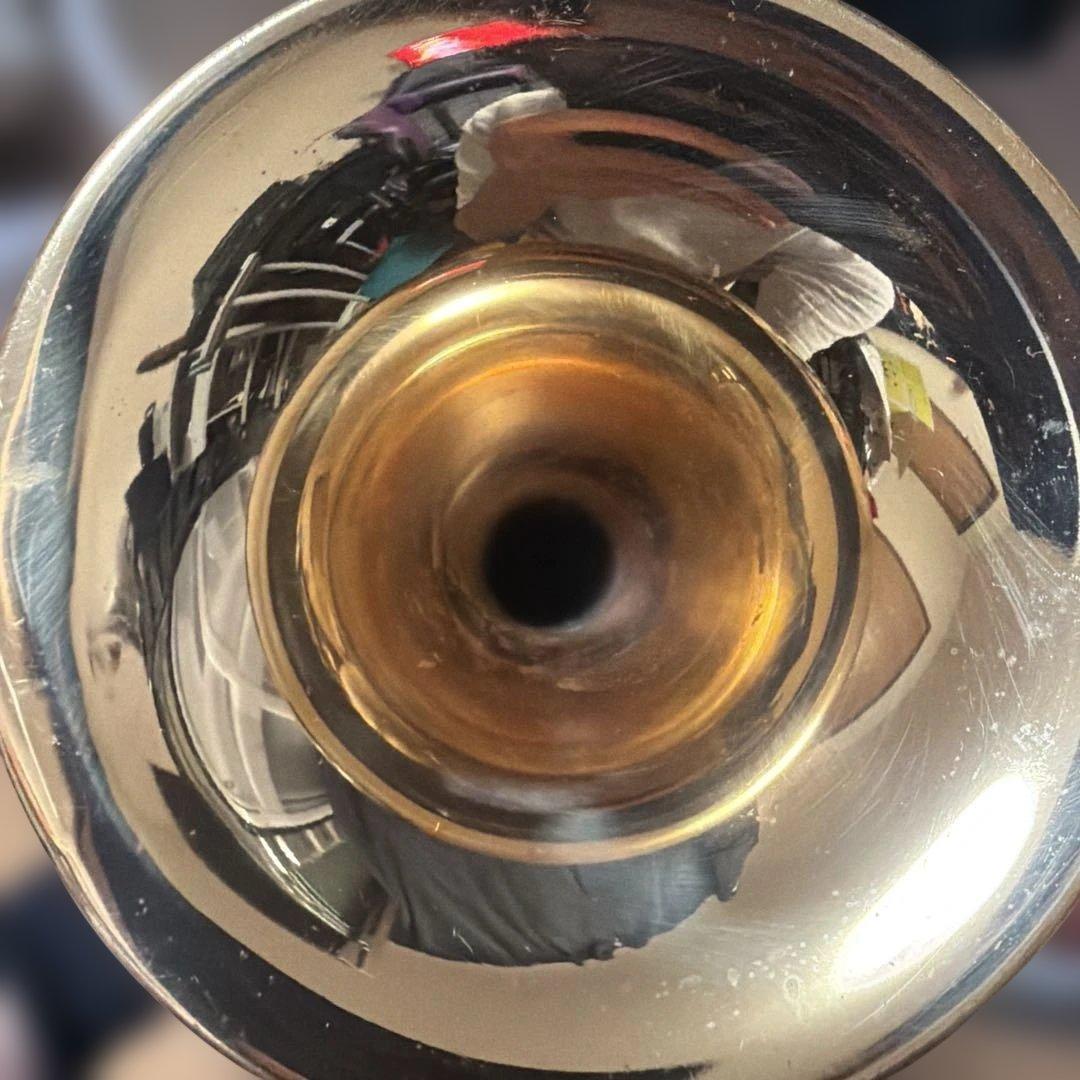 トランペットニッカン