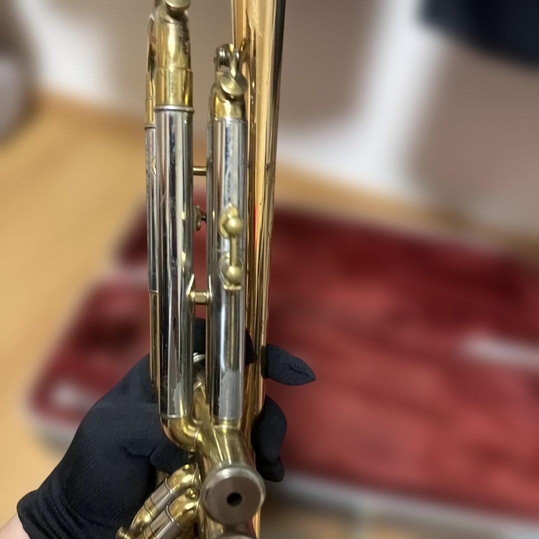 トランペットニッカン